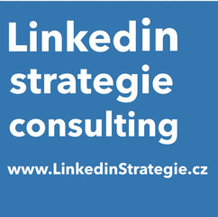 Linkedin Strategie